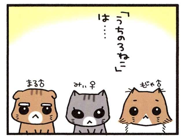 うちの猫はスーパーの袋が大好き。でも足にひっかかってパニックになった挙句...！／うちの3ねこ uchinosanneko_001_012_1.jpg