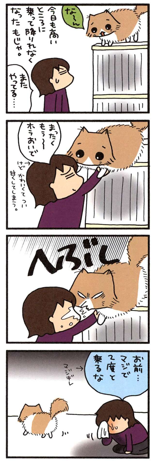 スーパーの袋が大好きな猫。足に引っかかってパニックになり、さらに...！／うちの3ねこ uchinosanneko_001_012_3.jpg