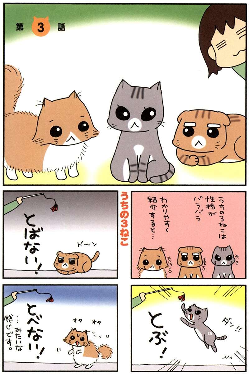 静電気と猫。ばちっとなった後のうちの猫は...ええええ？／うちの3ねこ uchinosanneko_001_019.jpg