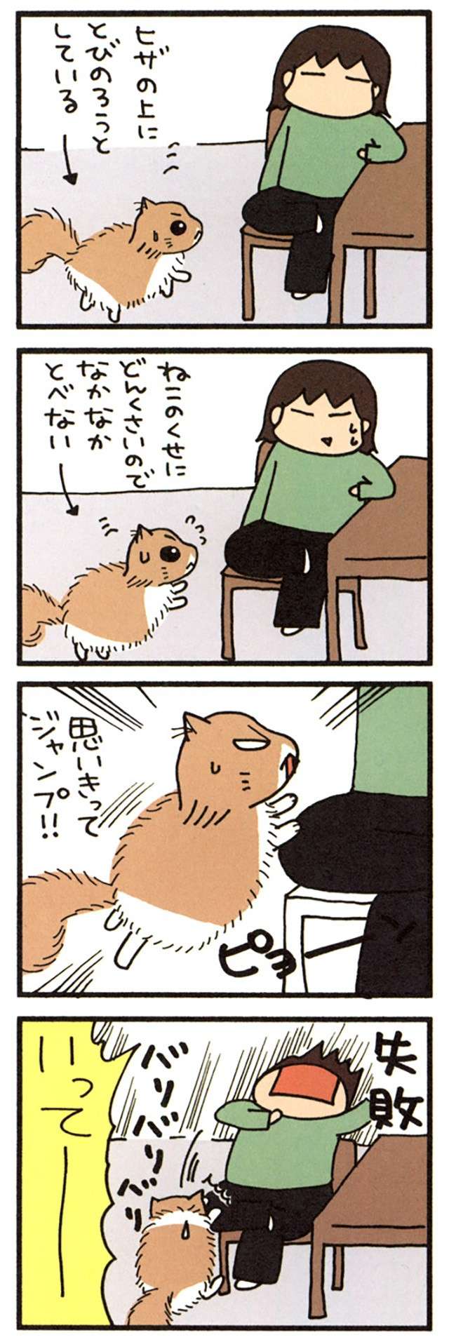 「いってー！」猫がひざにジャンプ...はいいけど失敗しないで～／うちの3ねこ uchinosanneko_001_022_2.jpg