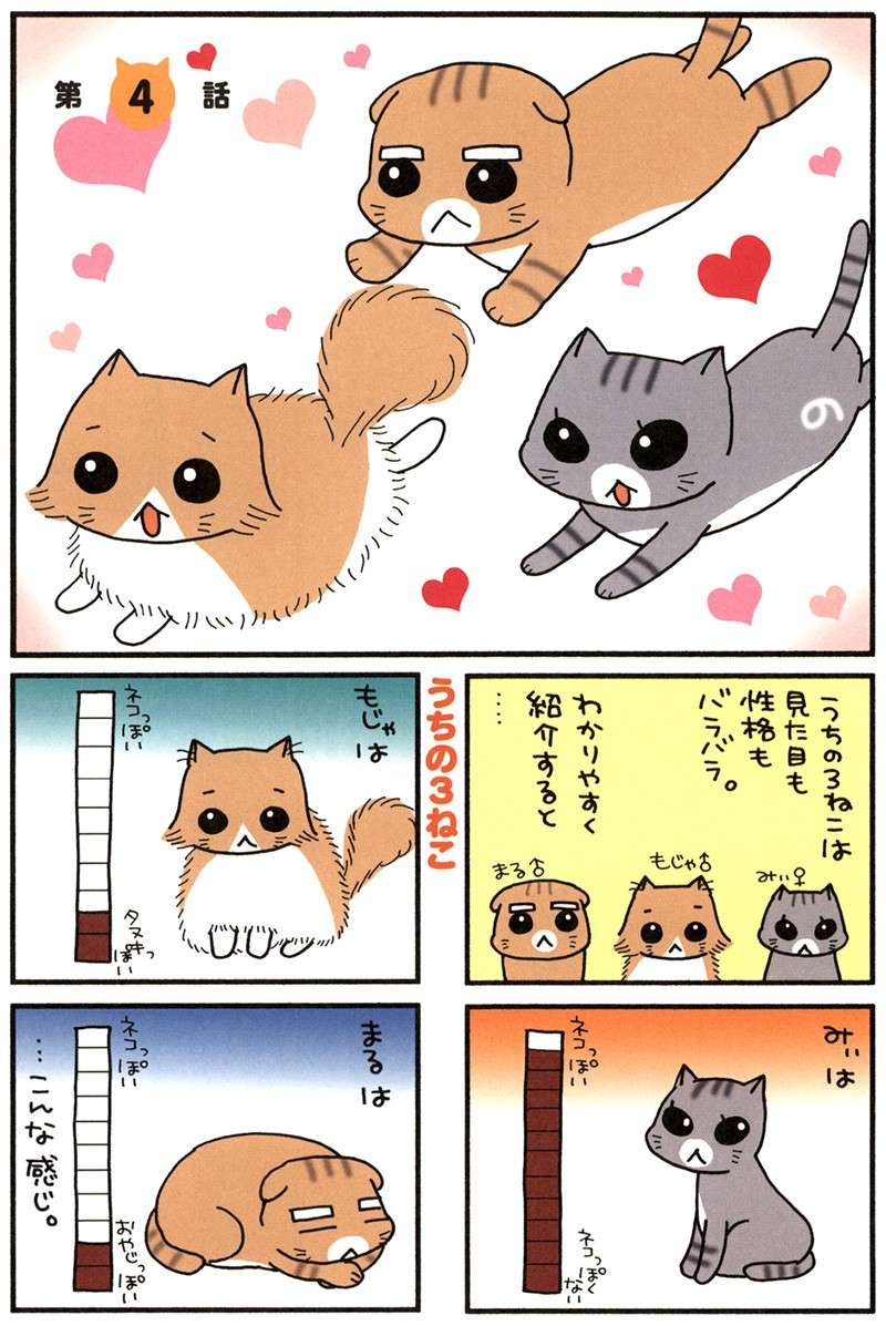 猫が発する「謎の声」。着地のはずみでもれる声がかわいくて...！／うちの3ねこ uchinosanneko_001_025.jpg