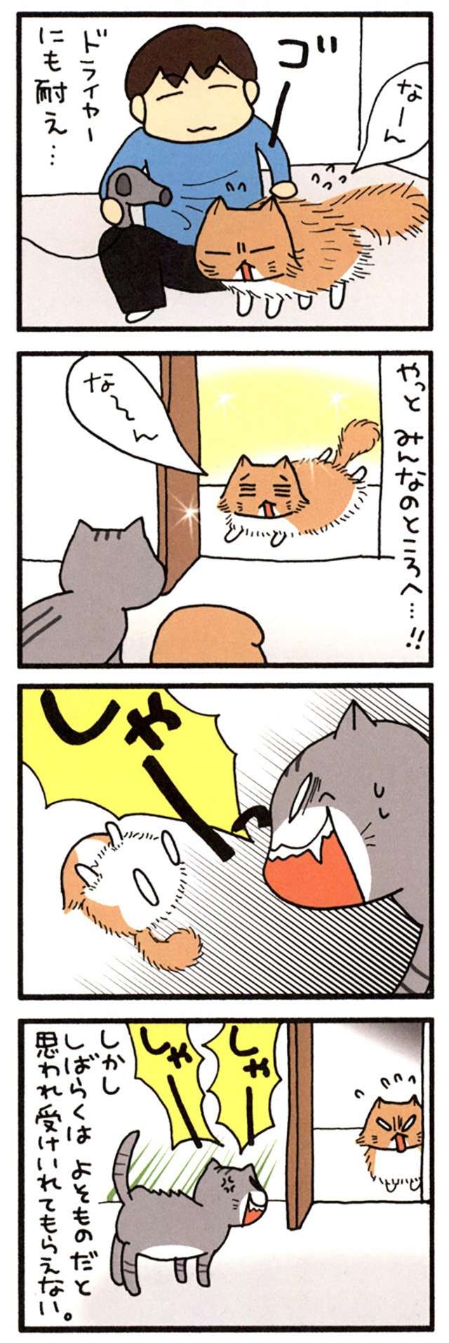 猫の「これで満足か」っていう顔。猫飼いの多くは見たことがある？／うちの3ねこ uchinosanneko_001_031_3.jpg