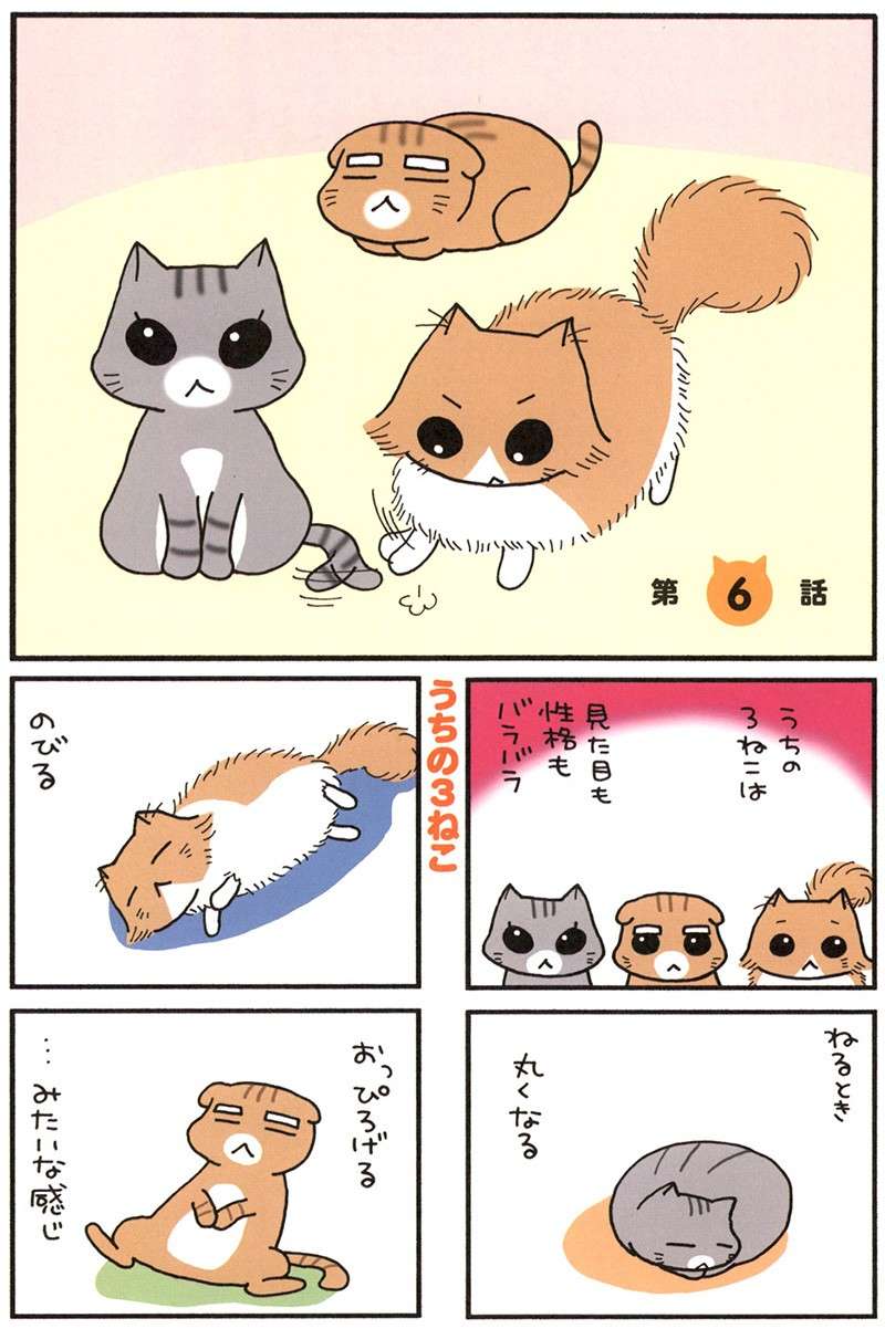 「わん！」動物病院の待合室で犬に威嚇された愛猫。どんな反応をするかと思ったら...／うちの3ねこ uchinosanneko_001_033.jpg