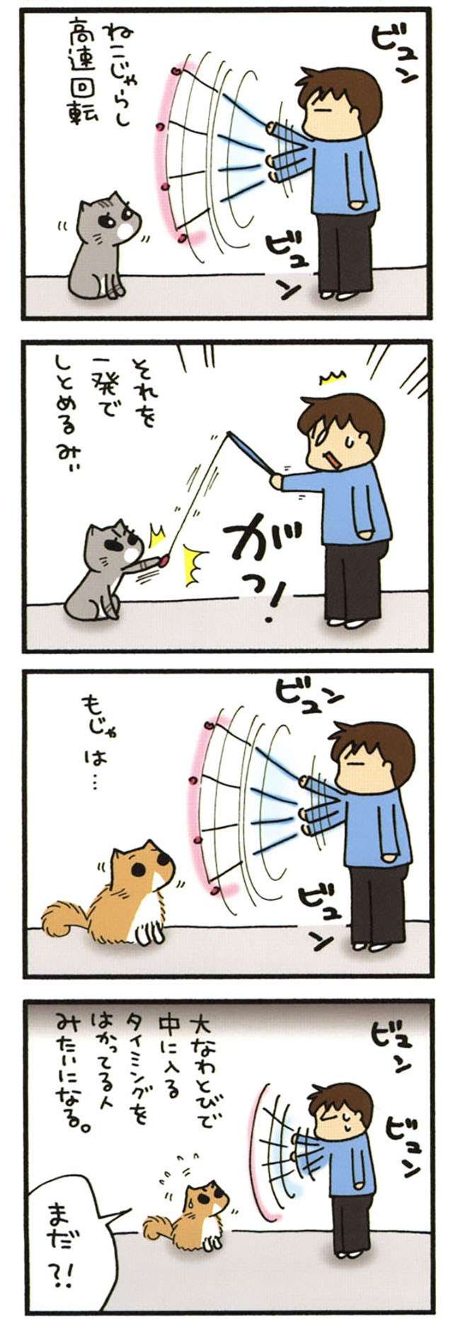 うちの猫は高速回転するねこじゃらしをキャッチできる？「勝者」と「敗者」の動きの違いは／うちの3ねこ uchinosanneko_002_007_3.jpg