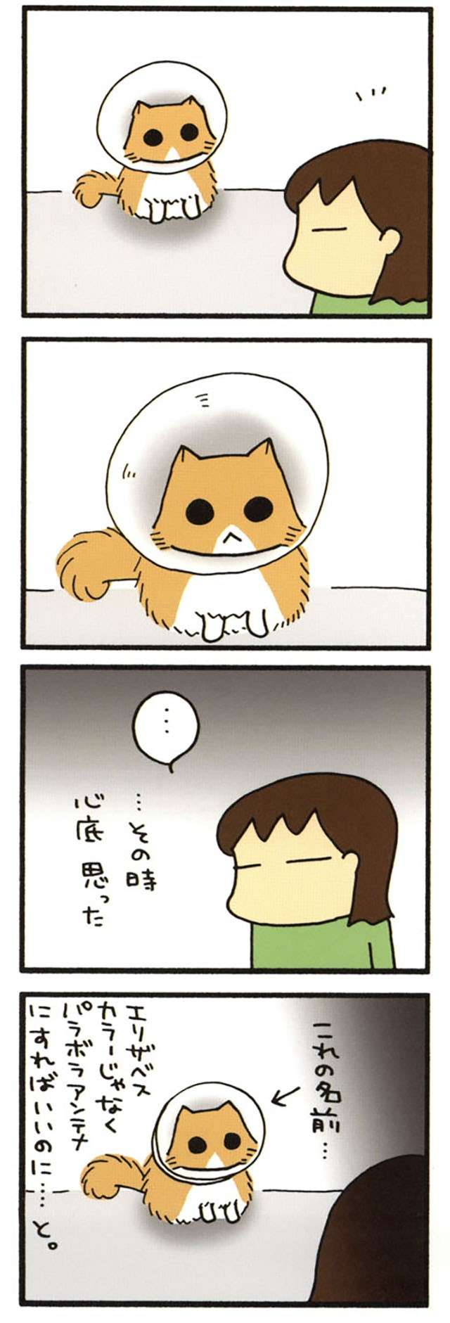 食の細い猫に異変が。やせっぽっちがぷっくり姿になり、それはそれで問題に!?／うちの3ねこ uchinosanneko_002_011_3.jpg