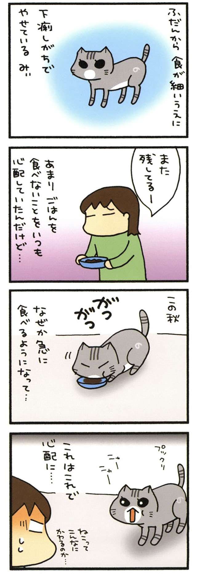 食の細い猫に異変が。やせっぽっちがぷっくり姿になり、それはそれで問題に!?／うちの3ねこ uchinosanneko_002_012_1.jpg