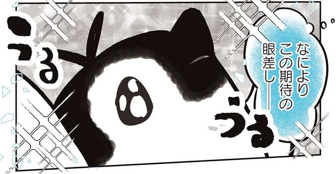 ペンギンが両手を挙げてバイトくんにアピール。期待の眼差しの真意は？／ペンギン喫茶は今日も青天2