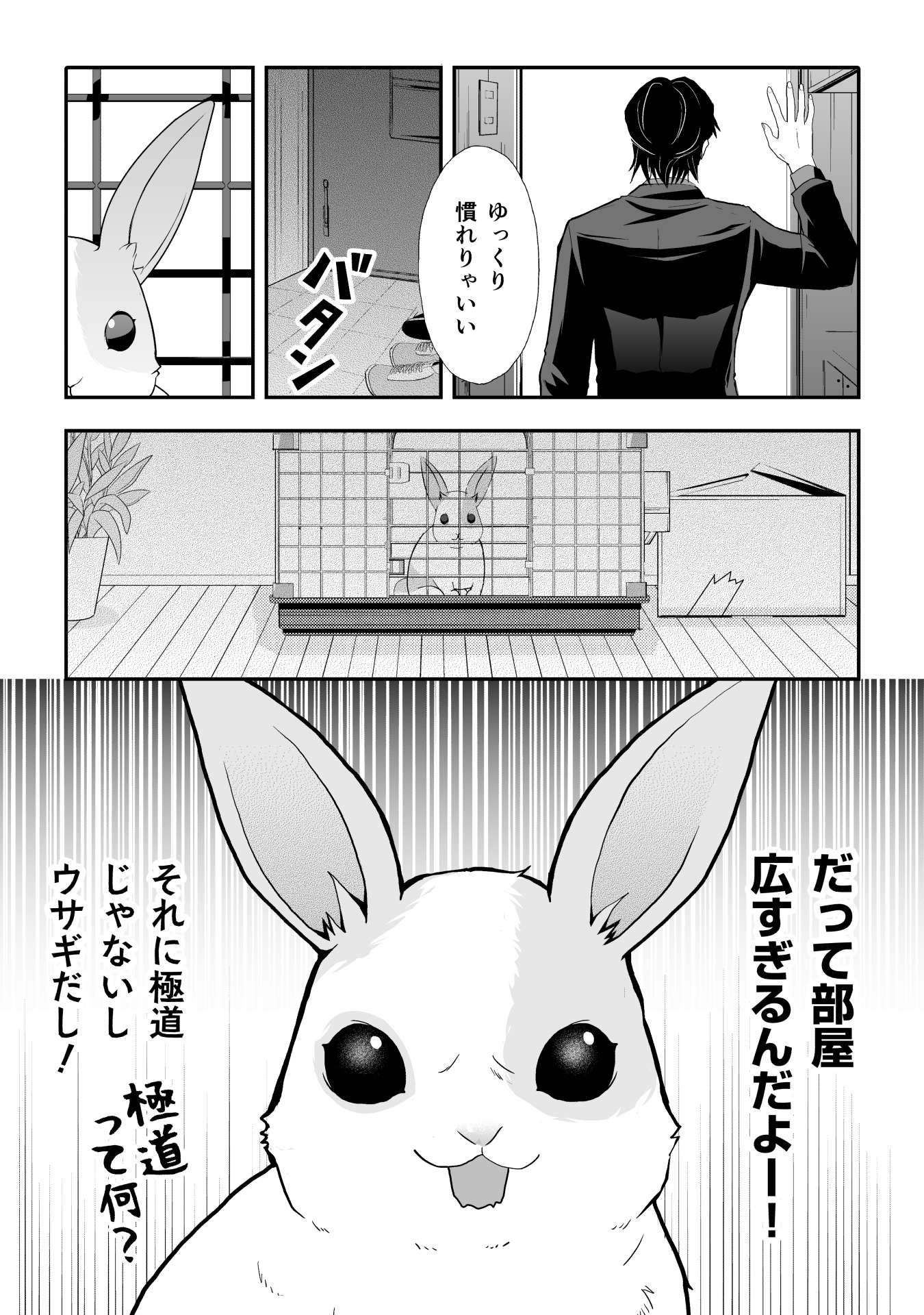 広い部屋にビビっている様子のウサギ。伝授された「心得」とは／ウサゴク usagoku_02_005.jpg