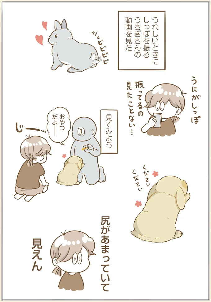 ややもっちり目な我が家のうさぎ。尻尾フリフリを見ようとしたら...あれ?/うちのうさぎは今日ものんびり utinousagi10_1.webp