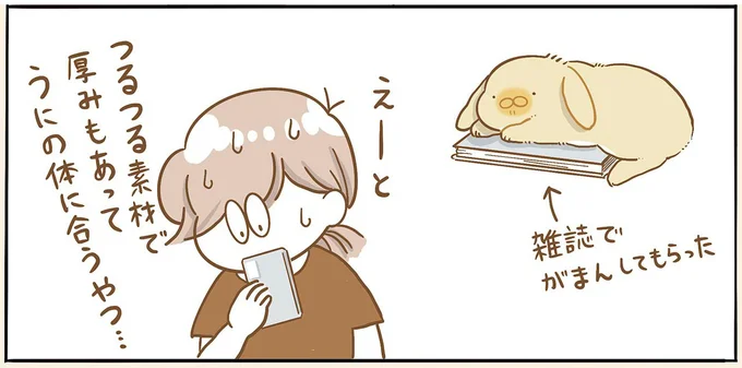 うさぎがショボーンとした理由。ここにあったのに...／うちのうさぎは今日ものんびり