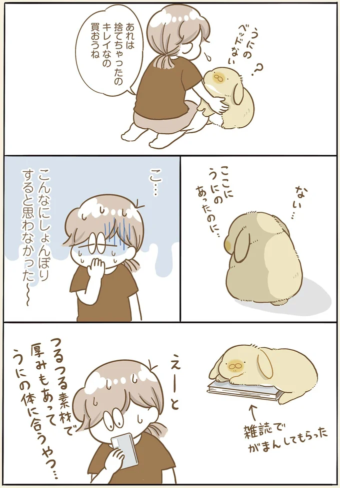 うさぎがショボーンとした理由。ここにあったのに...／うちのうさぎは今日ものんびり utinousagi11_2.webp