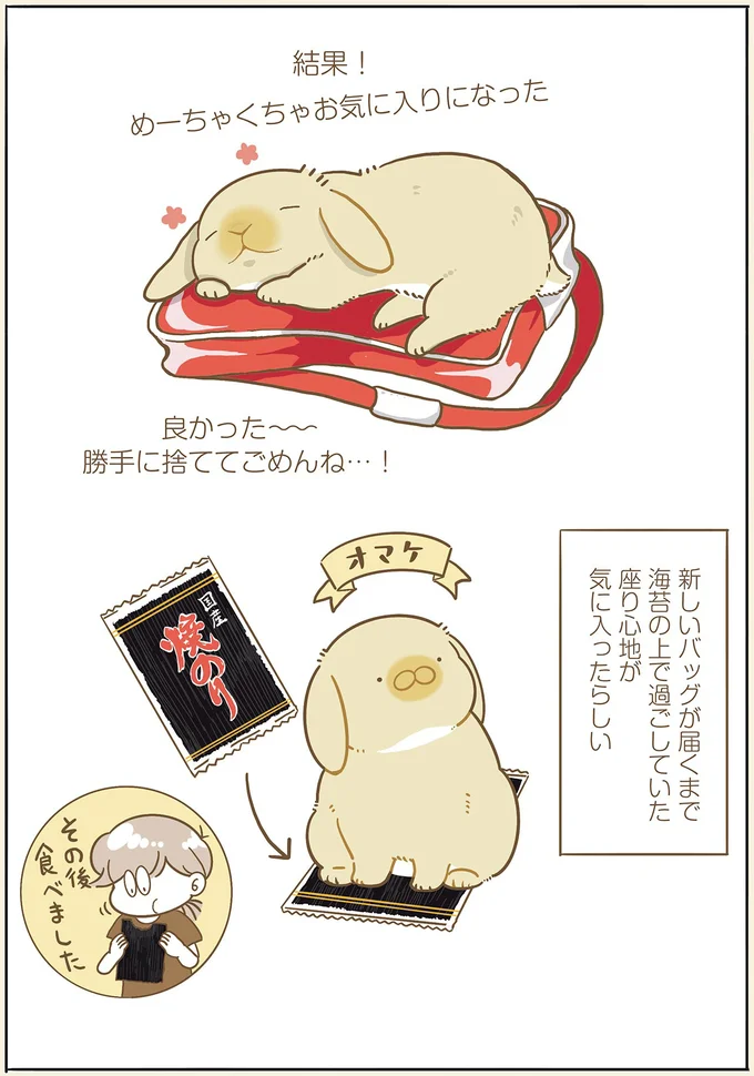 『うちのうさぎは今日ものんびり』 utinousagi11_4.webp