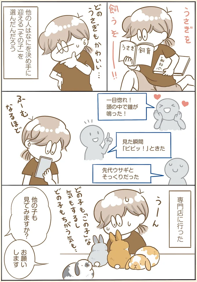 『うちのうさぎは今日ものんびり』 utinousagi1_1.webp