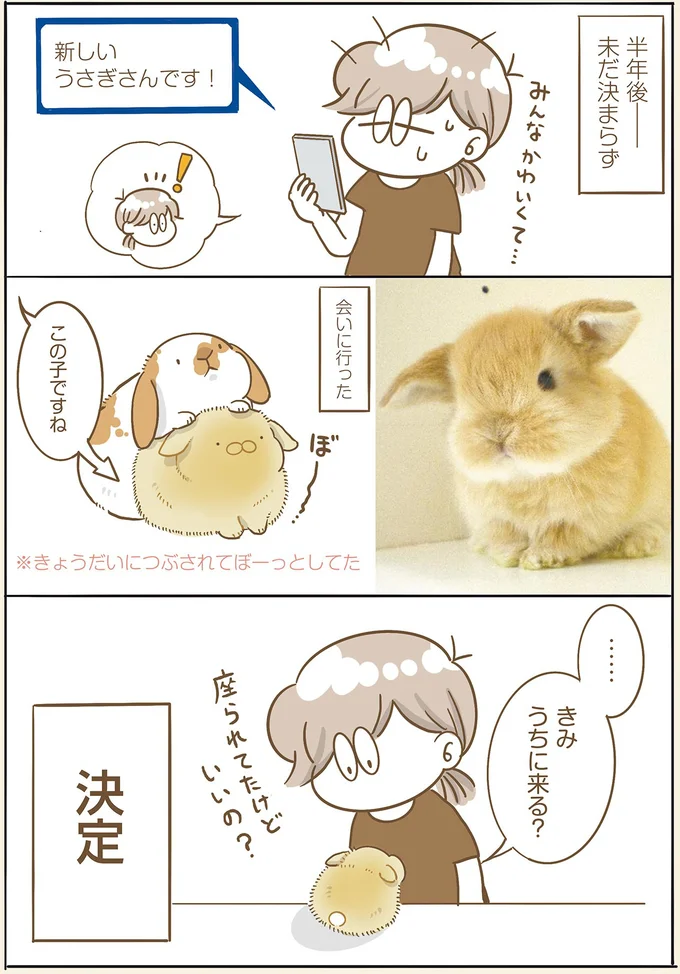『うちのうさぎは今日ものんびり』 utinousagi1_2.webp