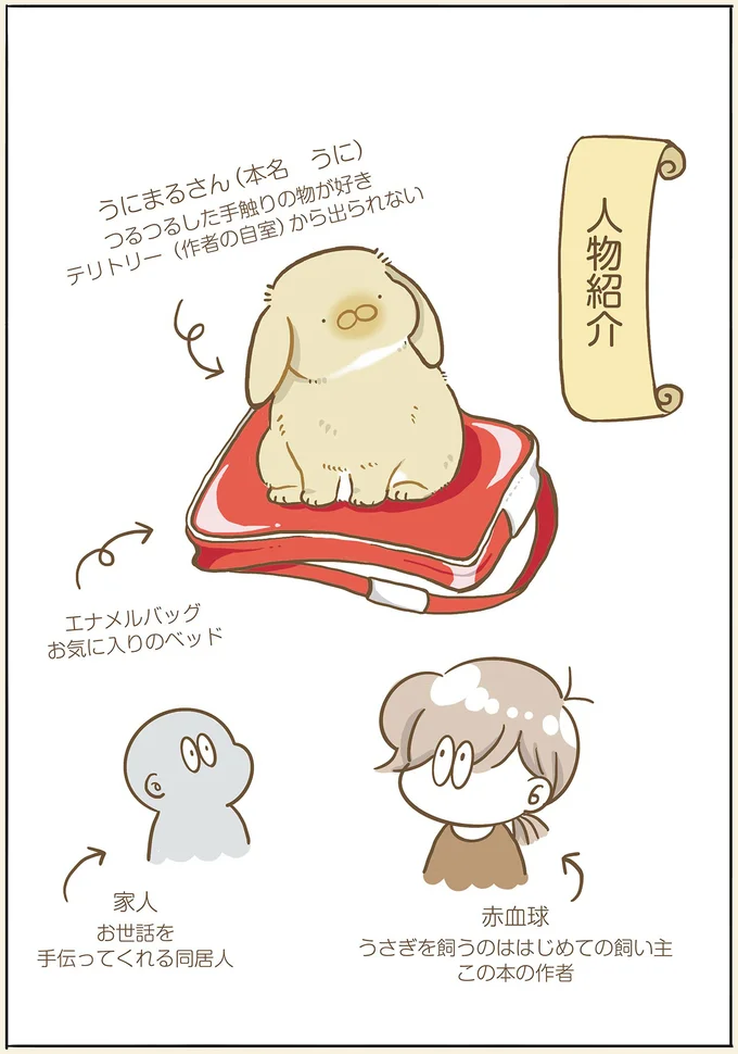 うさぎがショボーンとした理由。ここにあったのに...／うちのうさぎは今日ものんびり utinousagi2_1.webp