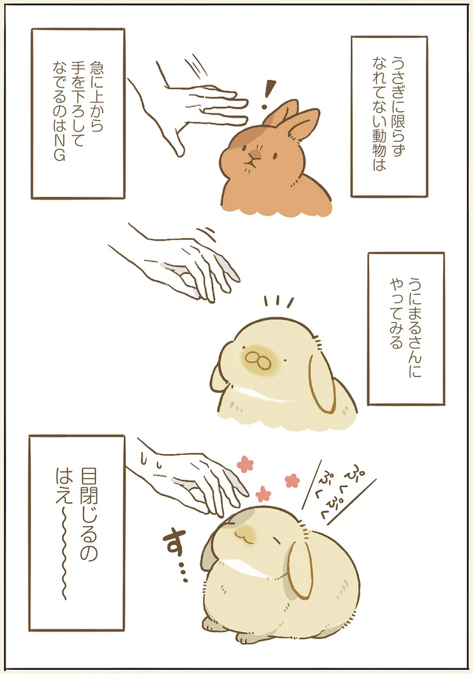 『うちのうさぎは今日ものんびり』 utinousagi2_2.webp