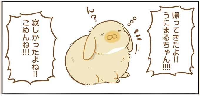 6日も離ればなれになったうさぎと飼い主。感動の再会と思いきや...んんん？／うちのうさぎは今日ものんびり