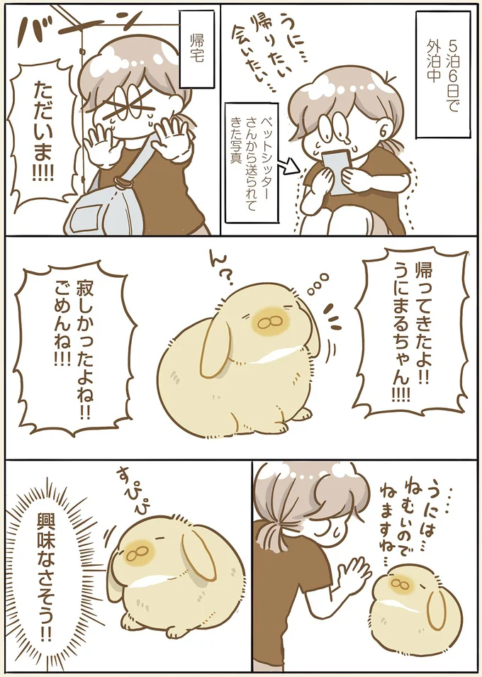 『うちのうさぎは今日ものんびり』 utinousagi5_1.webp