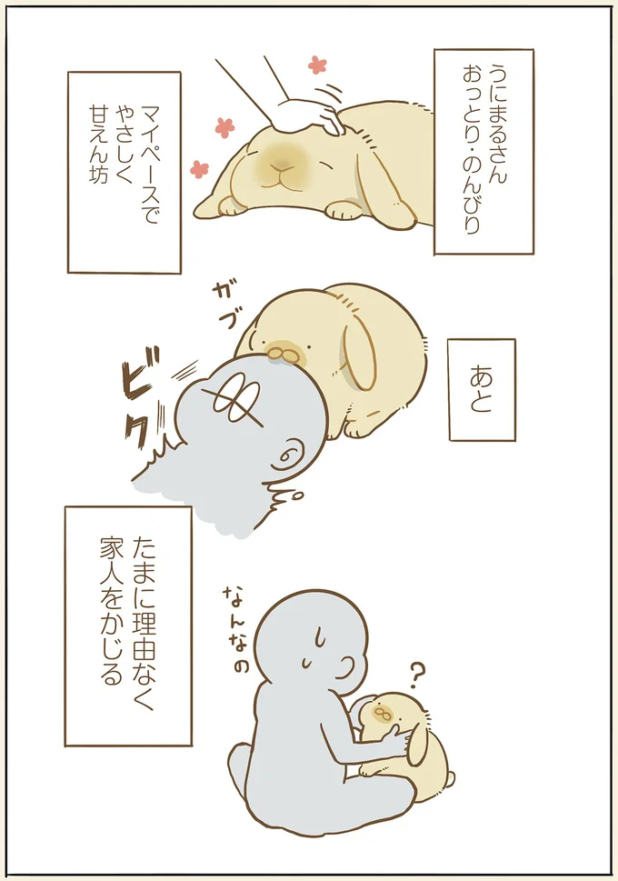 おっとり甘えんぼうな我が家のうさぎ。でもマイペースすぎる面も？／うちのうさぎは今日ものんびり utinousagi6_2.webp