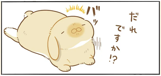 警戒心が強い...はず。パートナーが見たうさぎが無防備すぎた／うちのうさぎは今日ものんびり