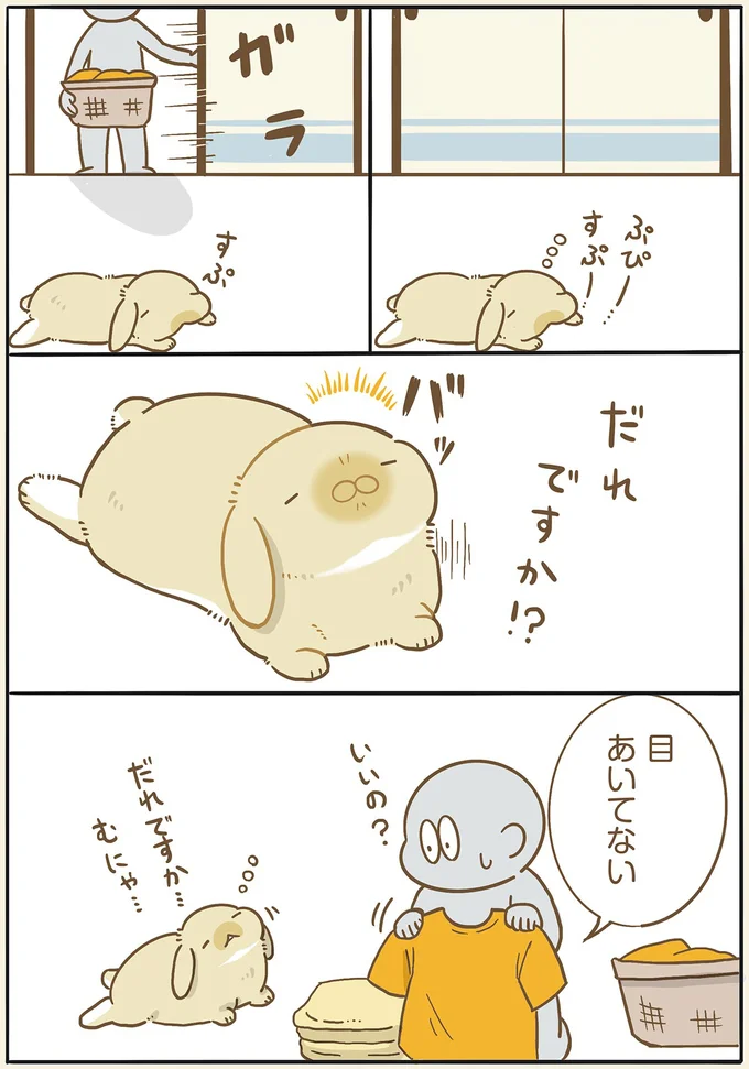 警戒心が強い...はず。パートナーが見たうさぎが無防備すぎた／うちのうさぎは今日ものんびり utinousagi7_2.webp