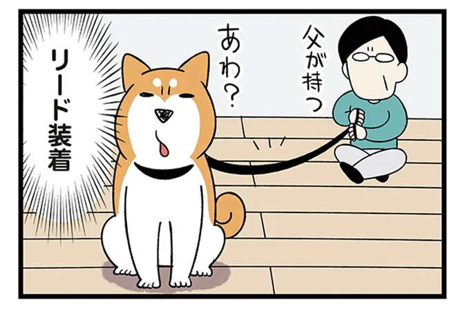 保護した子猫と、先住の柴犬との初対面。ドキドキだったけど...や～ん♪／うちう猫と柴犬