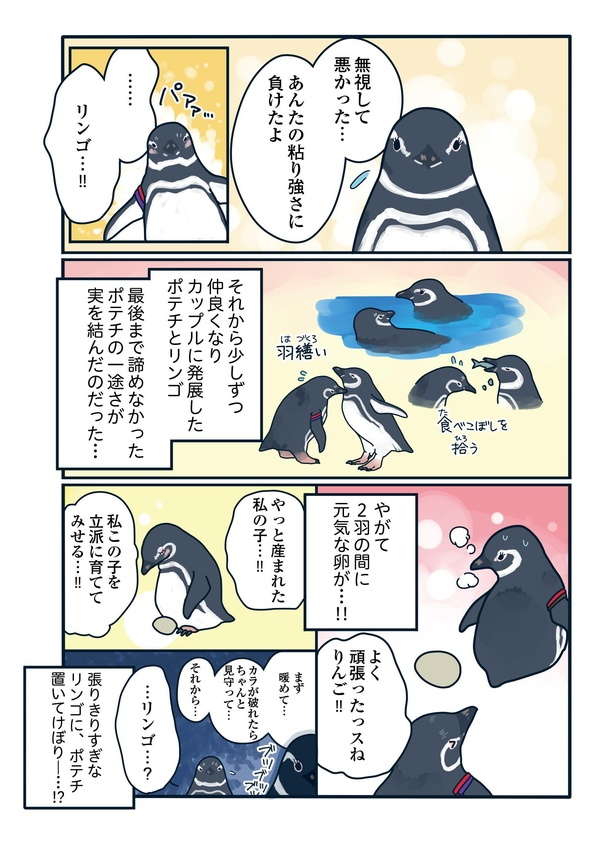 「オレ、好きっス！」ヤンキーが強め女子に恋したら？ 新しい命が誕生するまでのペンギン愛の物語 wbpenguin07_06.jpg