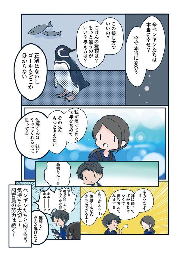 全羽から愛される「神と呼ばれるベテラン」が登場！ ペンギンの未来に向き合う飼育員の感動物語 wbpenguin11_04.jpg