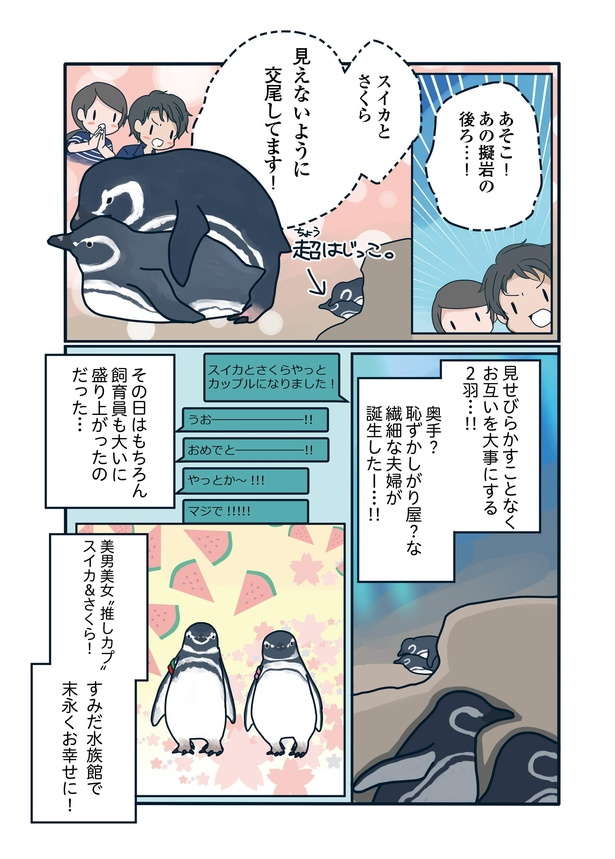 SNSで人気の「ペンギン関係マンガ」 密かに愛を育んだ「美男美女カップル」の生活とは？ wbpenguin12_06.jpg