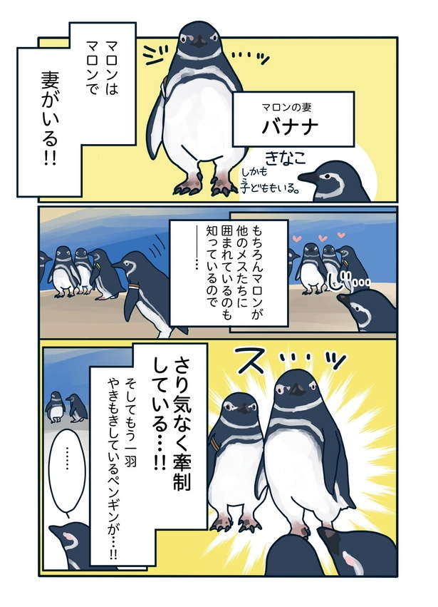 W不倫の予感...!? 大人の余裕「爆モテ男子」の恋愛テクが学べるかも!? ペンギン愛憎物語 wbpenguin13_04.jpg