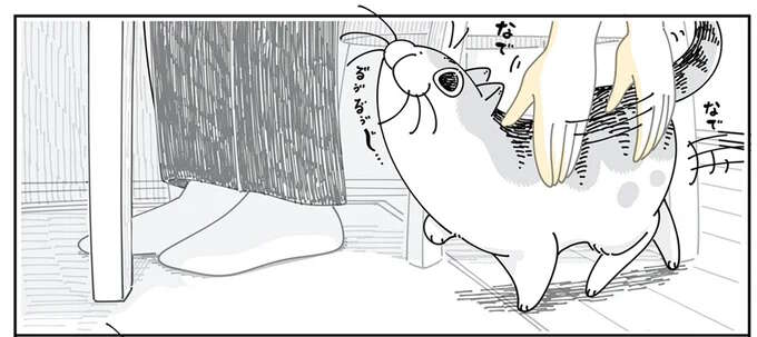 なでてほしい猫。でも気持ちが強すぎて謎の行動を...なんで？／夜は猫といっしょ5