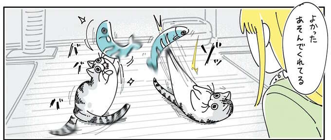 え、もう飽きたの!? 猫に新しいオモチャをあげたら大興奮！からの...？／夜は猫といっしょ6