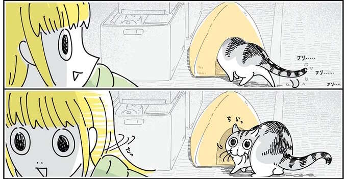 数カ月の時を経て...！ 猫が使ってくれずしまっておいたベッド／夜は猫といっしょ6