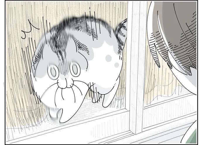 猫の不思議な行動。さっきまで一緒にいたのに...「知らない人判定」する瞬間／夜は猫といっしょ6