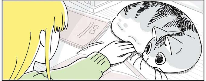 たまに見つかるから...。探し物中、机の上で寝てる愛猫の下を確認したくなる／夜は猫といっしょ6