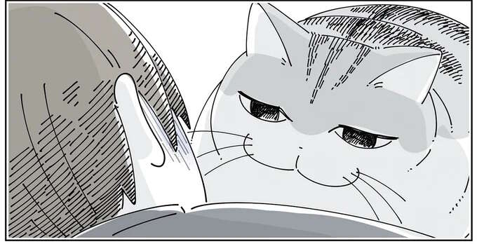 普段はマイペースな猫が察した？ 体調不良の飼い主にずっと...／夜は猫といっしょ6