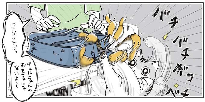 愛猫が私のカバンについたマスコットにちょっかい。一生懸命な姿につい流されそうになり...／夜は猫といっしょ7