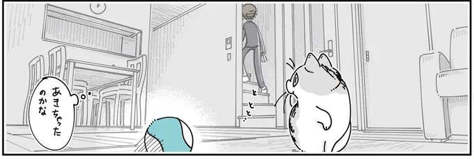 愛猫のそばにいつもあるオモチャ。まったく遊んでないけど、本当は気に入ってる...？／夜は猫といっしょ8