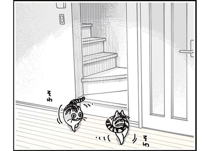 猫が飼い主の起床の気配を察知。なかなかやってこないと...かわいい！／夜は猫といっしょ8