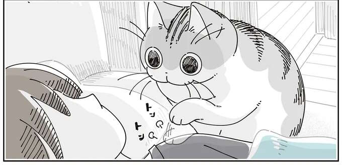 朝の猫。飼い主をトントン...可愛くて寝たふりを続けていたら...え？／夜は猫といっしょ8