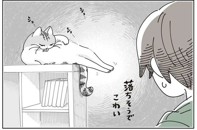 猫が落ちそうで怖い！ テレビ台の上で毛づくろいする姿を見守っていたら...／夜は猫といっしょ8
