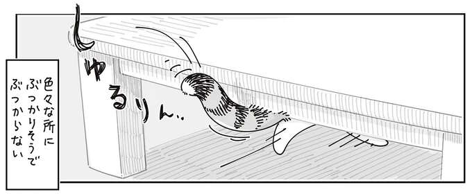 ごきげんな時の愛猫のしっぽはぶつかりそうでぶつからない。でも飼い主には...？／夜は猫といっしょ8