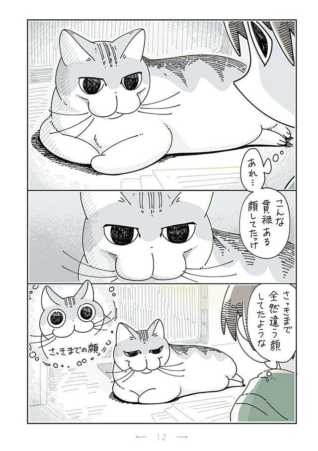 「あれ...こんな顔してたっけ」見るたびに猫の表情が変わっている／夜は猫といっしょ 3 yoruhanekoto3_12.jpg