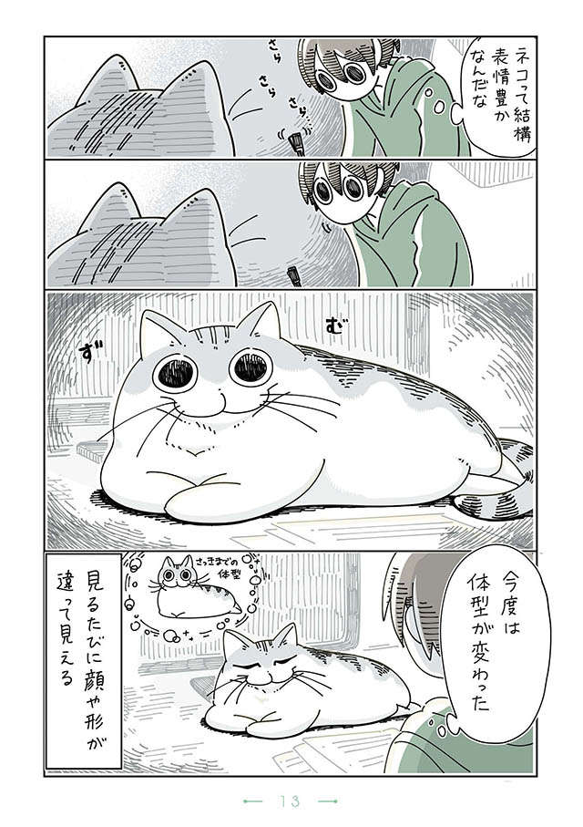 「あれ...こんな顔してたっけ」見るたびに猫の表情が変わっている／夜は猫といっしょ 3 yoruhanekoto3_13.jpg