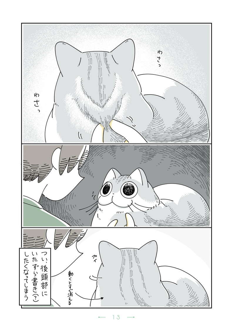 愛猫キュルガの後頭部はフサフサ。横にいるとつい指を伸ばしてやってしまうことは...／夜は猫といっしょ4 yoruhanekoto4_CC2021_re-13.jpg