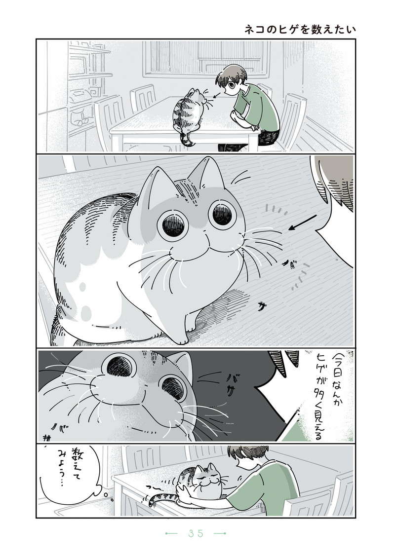 「今日なんかヒゲが多く見える」愛猫キュルガのヒゲの本数を数えようとすると...／夜は猫といっしょ4 yoruhanekoto4_CC2021_re-35.jpg