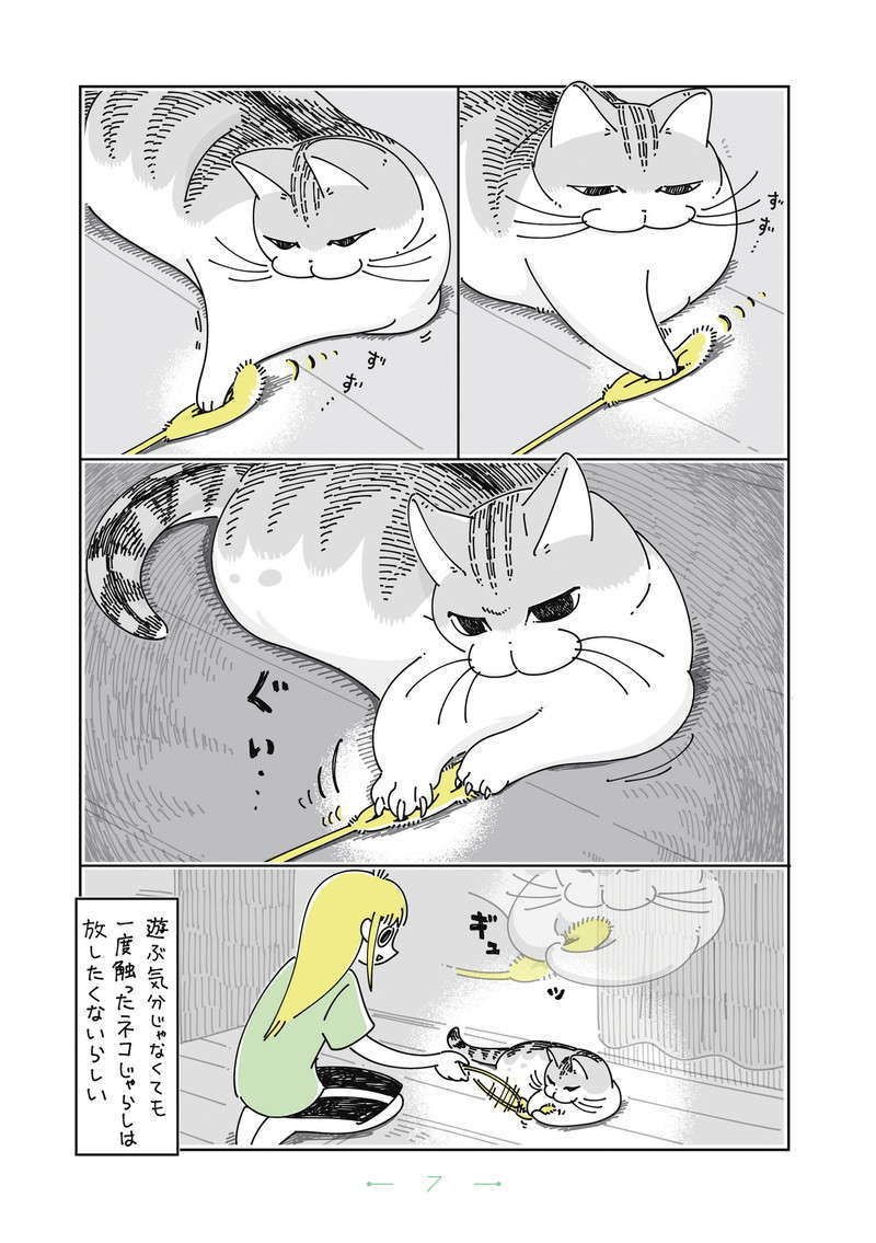 「キュルちゃん あそぼう」猫じゃらしをフリフリしても、気分じゃないらしい...のに？／夜は猫といっしょ4 yoruhanekoto4_CC2021_re-7.jpg