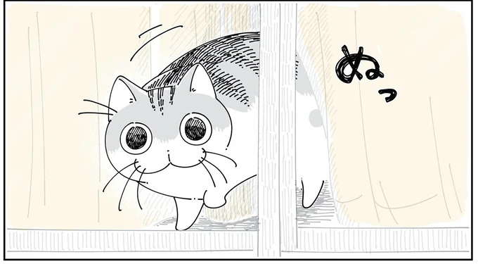 家の外を見ている猫。外にいる飼い主を見つけたら...えええ／夜は猫といっしょ6