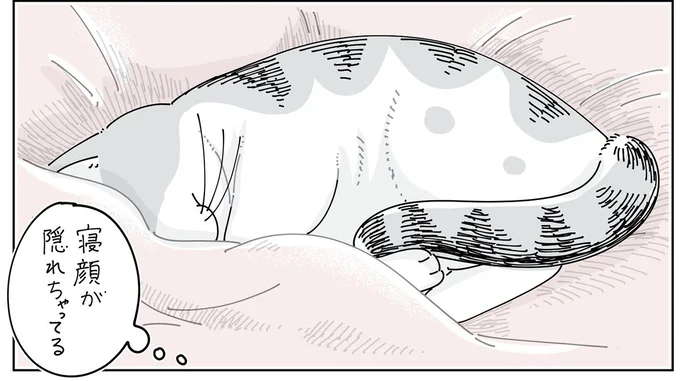 たまに発生する「猫のドッキリ」。飼い主が寝ている猫を撮影しようとしたら／夜は猫といっしょ6