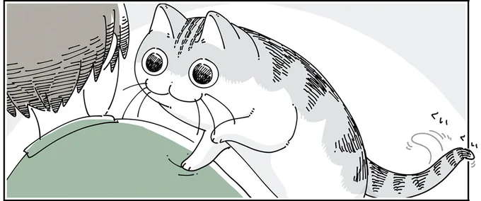 「猫が悩んでいる」と分かる飼い主。肩に手をかけて...優柔不断なところもかわいい／夜は猫といっしょ6